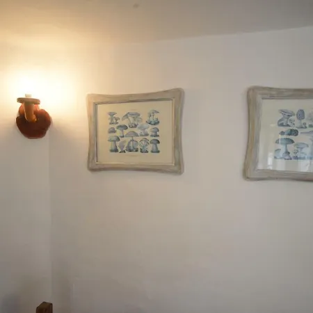Apartment La Casa Del Noce *